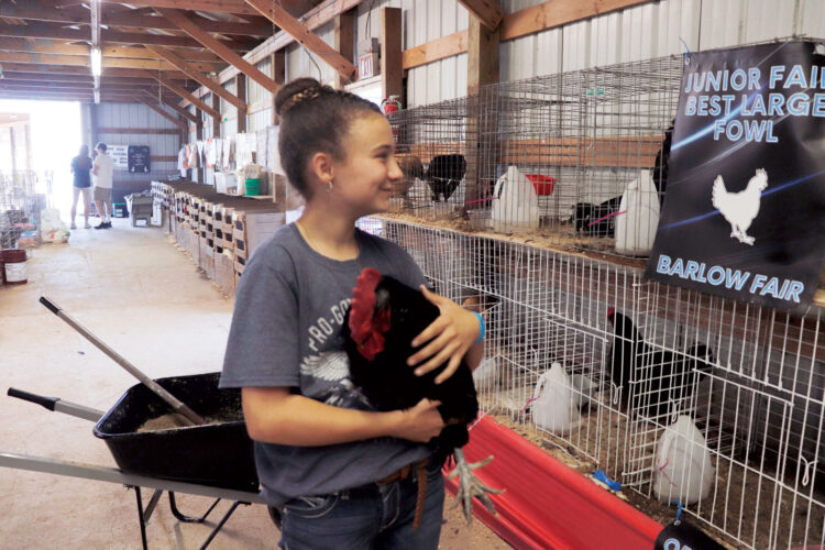 A Country Fair Can Survive: Expanded schedule helps Barlow festival weather rain delays
